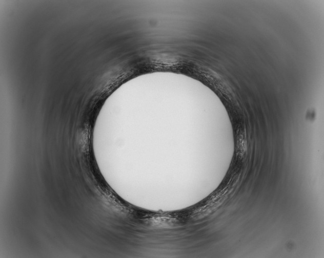 X0000099230468200805151634