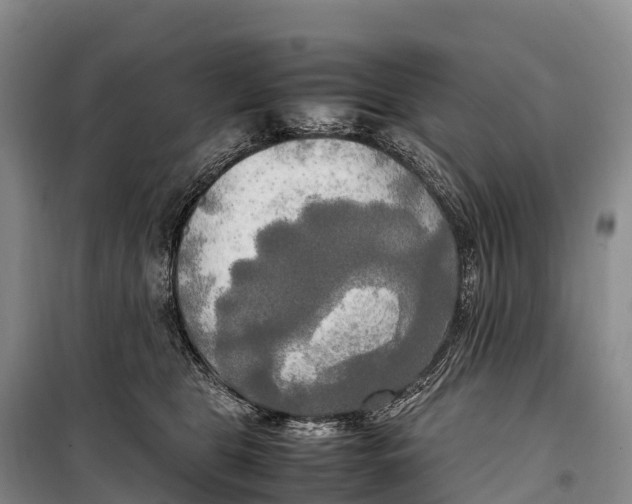 X0000099230469200805151634