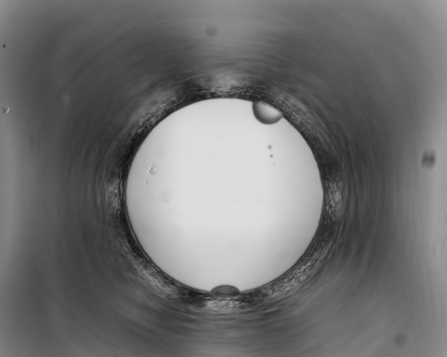 X0000099230470200805151634