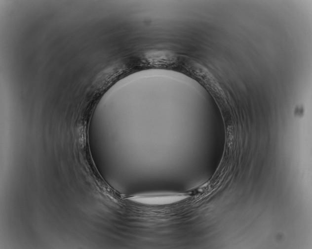 X0000099230471200805151634