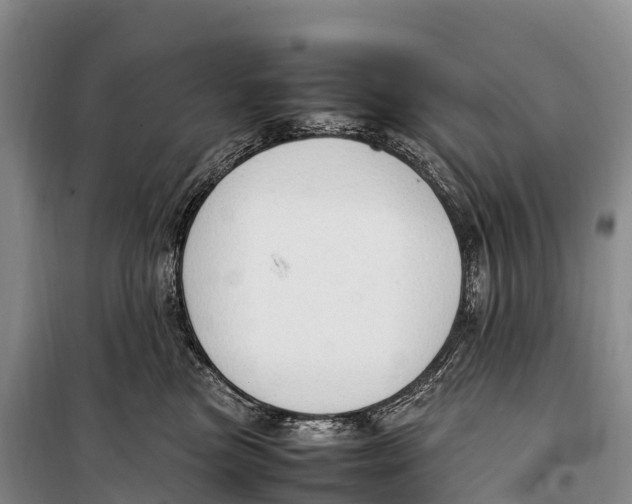 X0000099230473200805151634