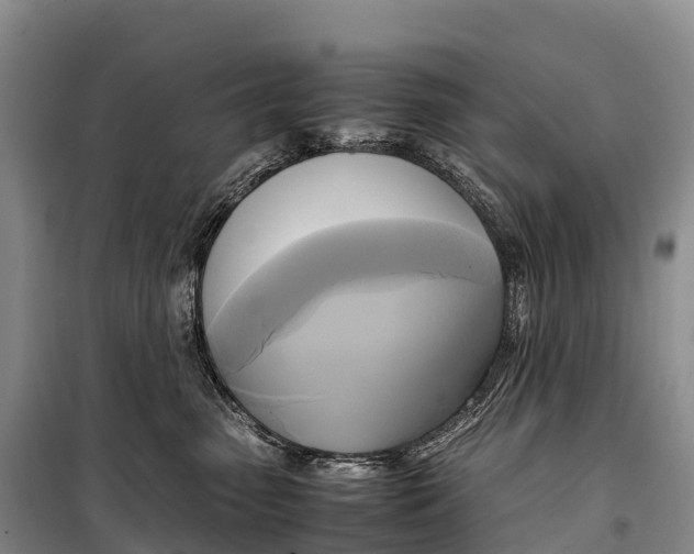 X0000099230475200805151634