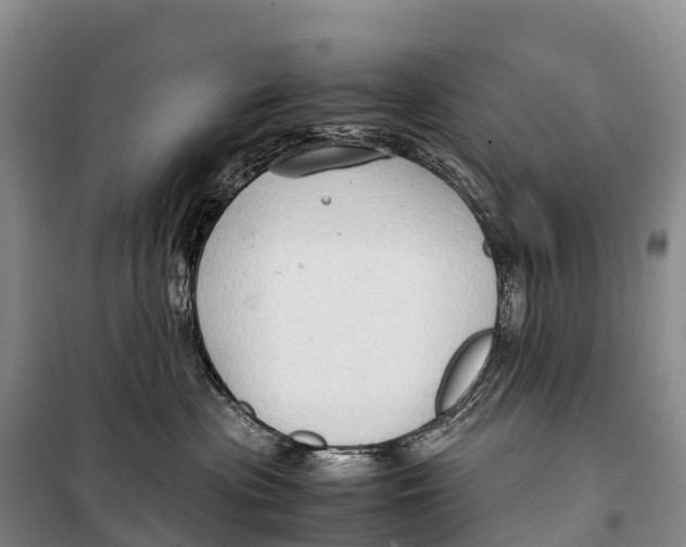 X0000099230477200805151634