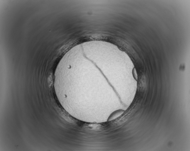 X0000099230478200805151634