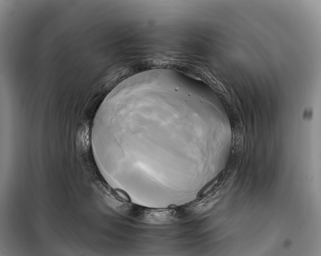 X0000099230479200805151634