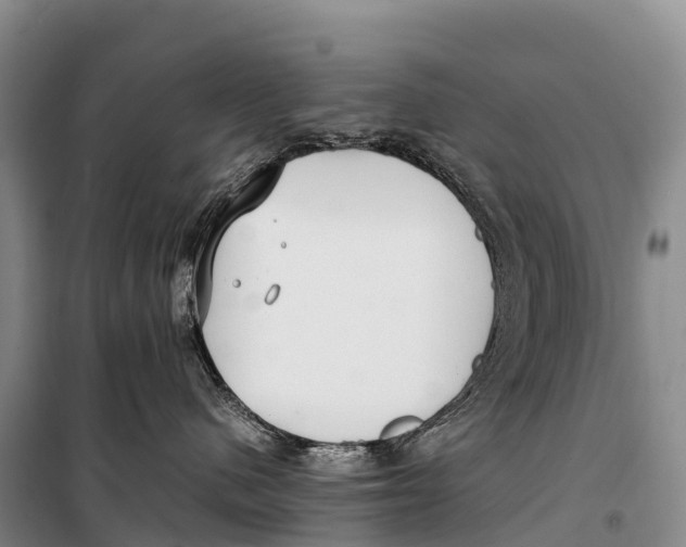 X0000099230480200805151634