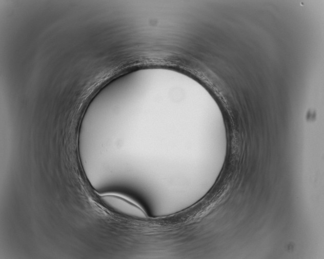 X0000099230481200805151633