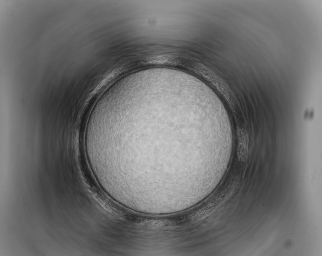 X0000099230482200805151633