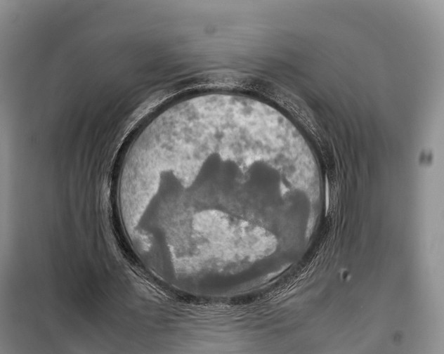 X0000099230483200805151633