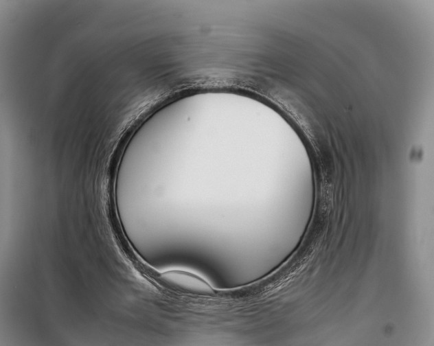 X0000099230485200805151633