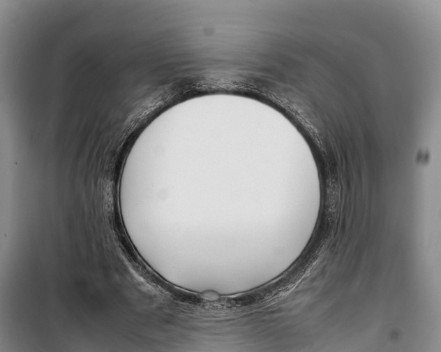 X0000099230489200805151633