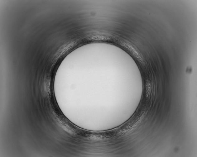 X0000099230490200805151633