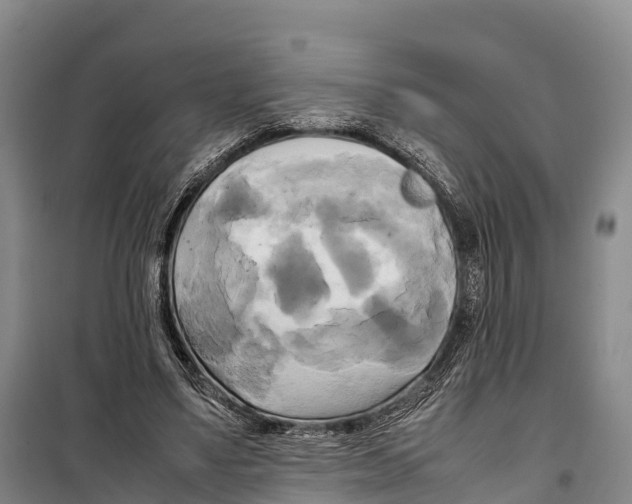 X0000099230491200805151633