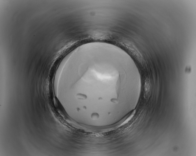 X0000099230492200805151633