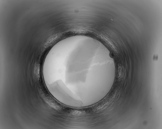 X0000099230494200805151633