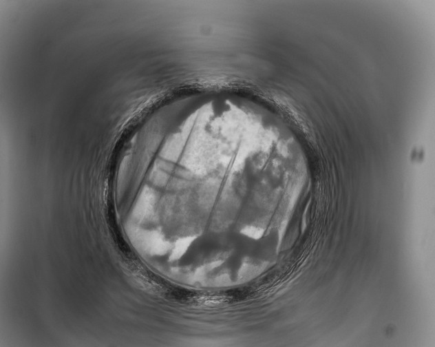 X0000099230495200805151633