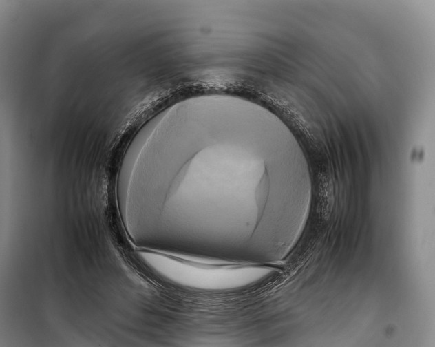 X0000099230496200805151633