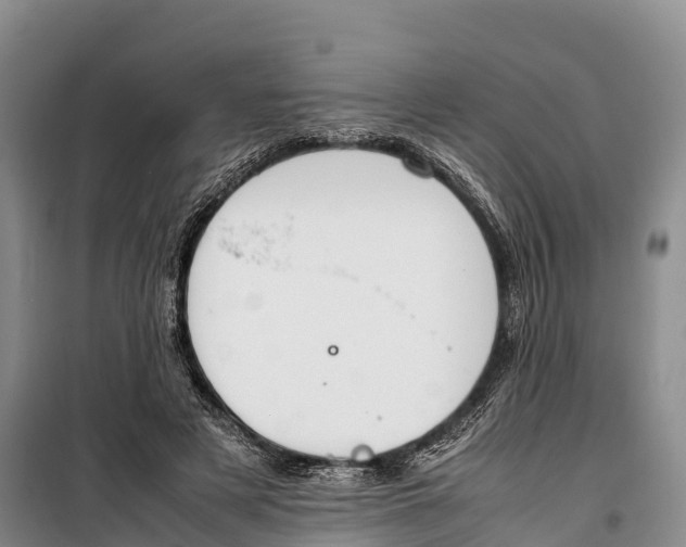 X0000099230497200805151633