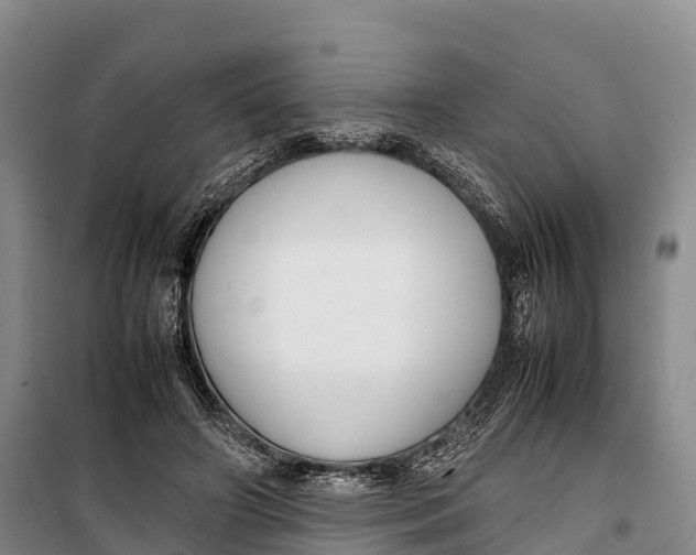 X0000099230498200805151633