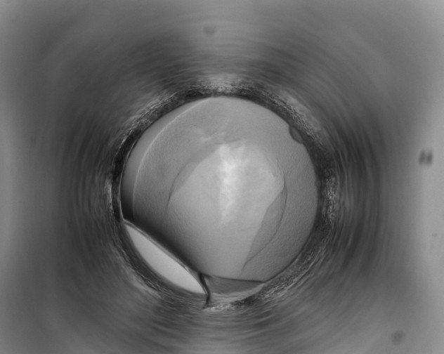 X0000099230500200805151633