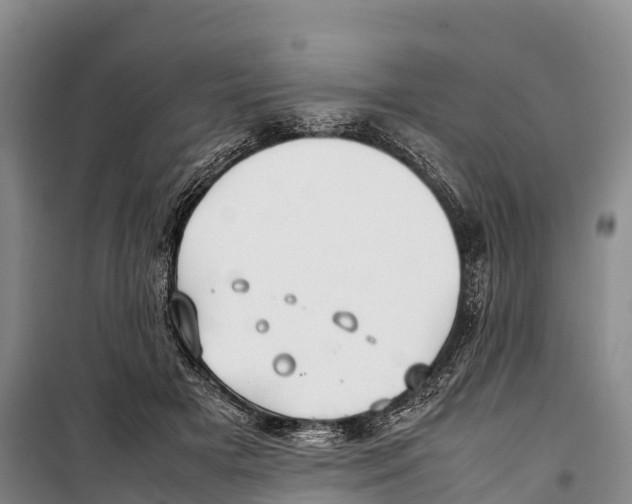 X0000099230505200805151632