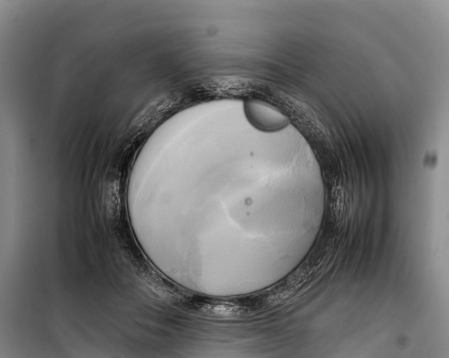 X0000099230506200805151632