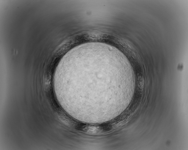 X0000099230507200805151632