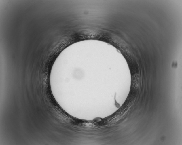 X0000099230509200805151632