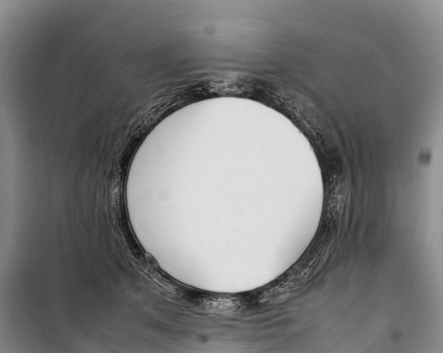 X0000099230513200805151632