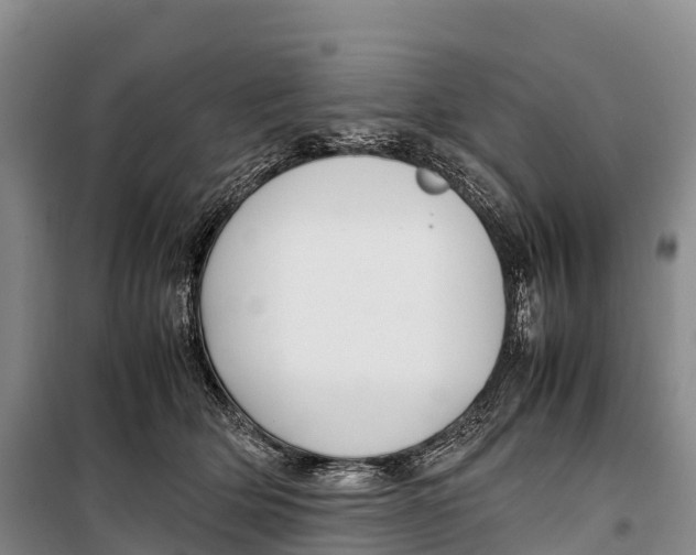 X0000099230514200805151632