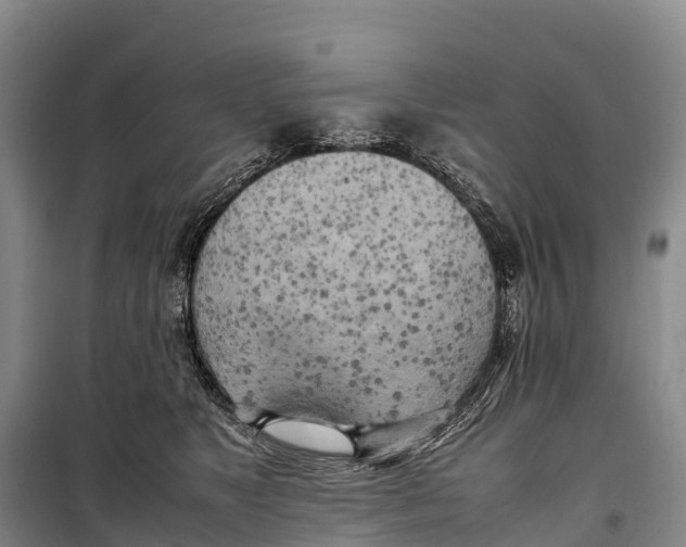 X0000099230517200805151632