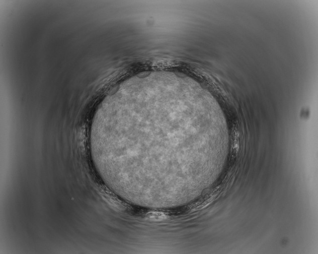 X0000099230519200805151632