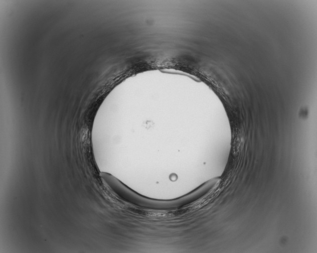 X0000099230521200805151632