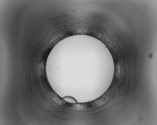 X0000099230522200805151632