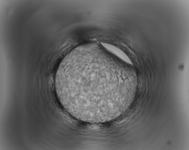 X0000099230523200805151632