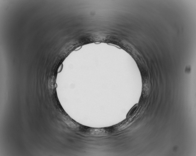 X0000099230525200805151632