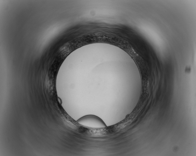 X0000099230526200805151632