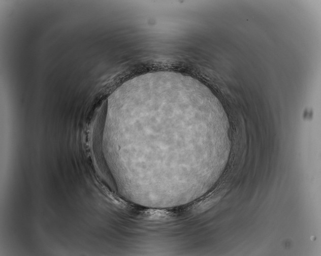 X0000099230528200805151632