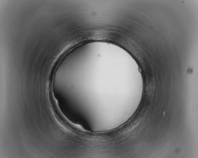 X0000099230530200805151632