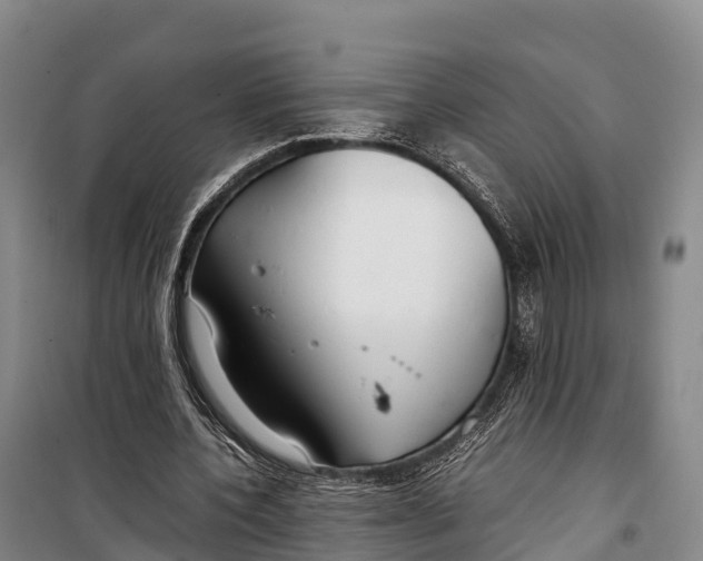 X0000099230532200805151632