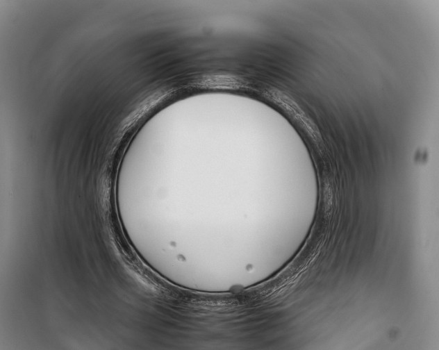 X0000099230533200805151632