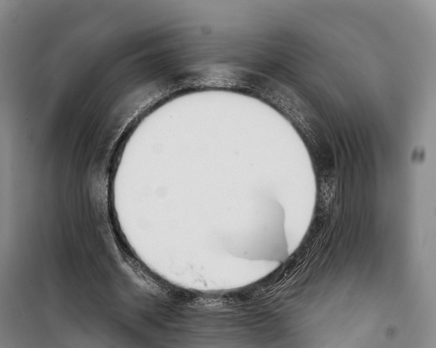 X0000099230534200805151632