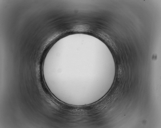 X0000099230535200805151632