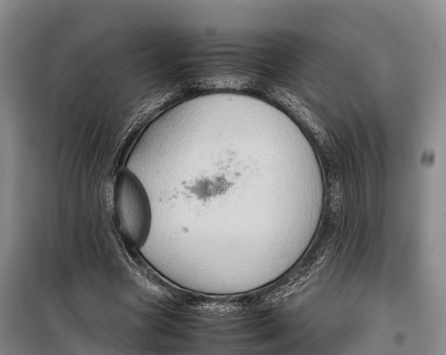 X0000099230537200805151632