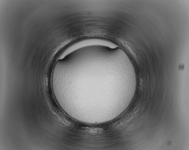 X0000099230539200805151632