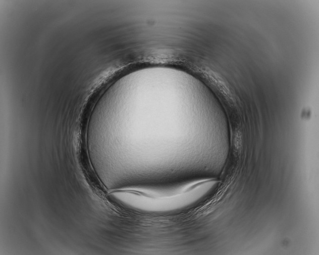 X0000099230540200805151632