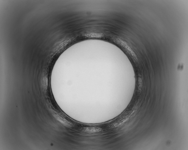 X0000099230541200805151632