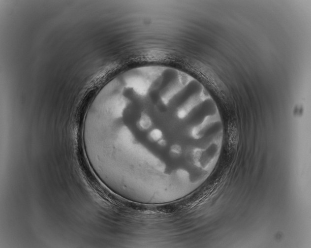 X0000099230542200805151632