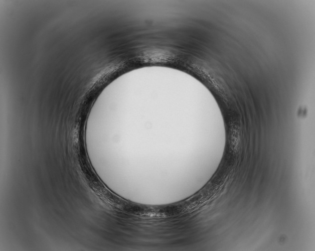 X0000099230543200805151632