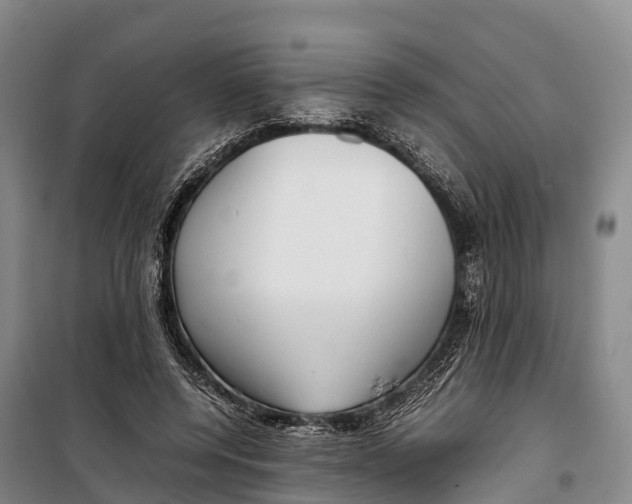 X0000099230544200805151632